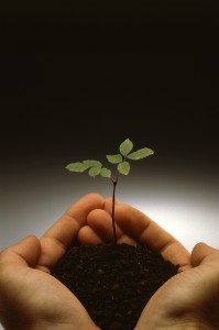 bigstockphoto_new_life_258879